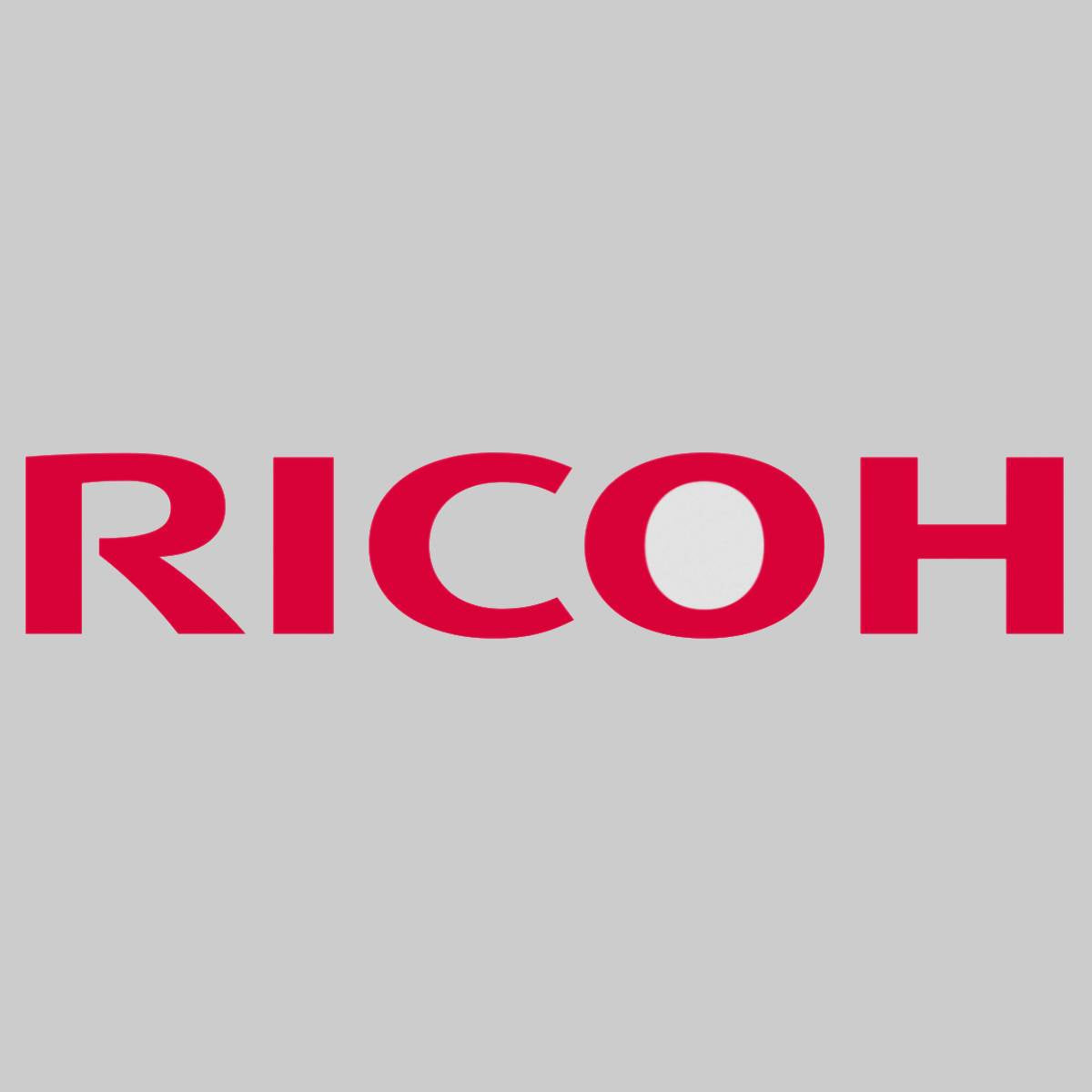 Originele Ricoh Apply Brush Roller D0746257 voor Ricoh Pro 8100EX 8110S 8100S